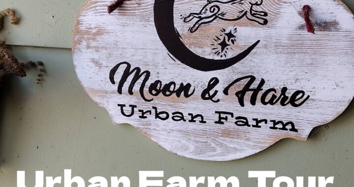 Moon and Hare Collective Urban Farm Tour - Spring 2025