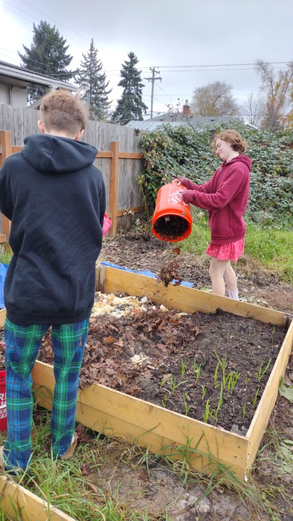 How to Build and Fill Free or Super Cheap Raised Beds - a post by Moon and Hare Collective