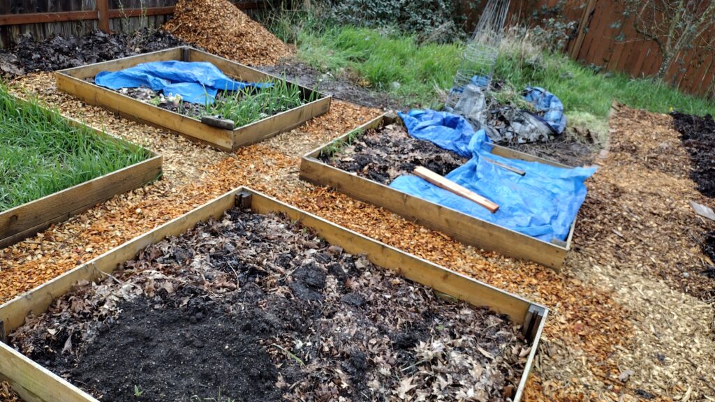 How to Build and Fill Free or Super Cheap Raised Beds - a post by Moon and Hare Collective