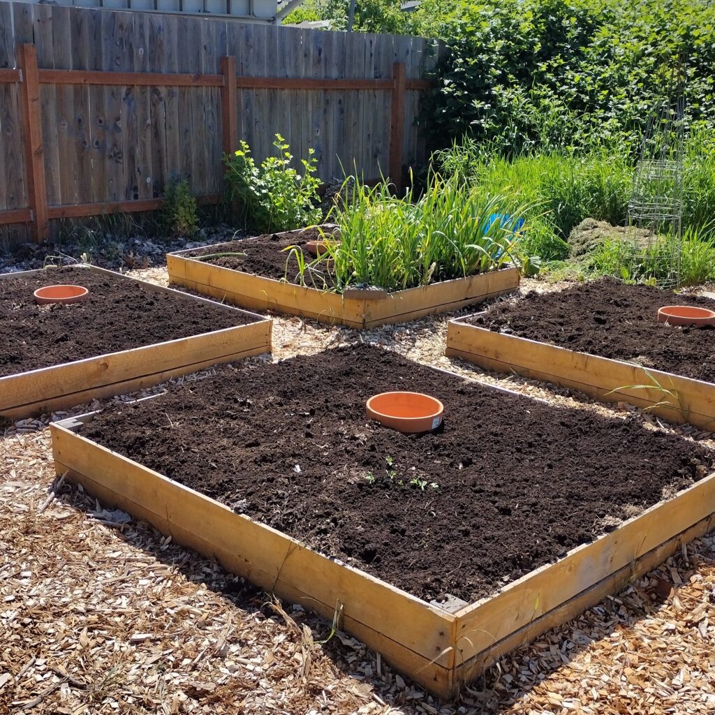 How to Build and Fill Free or Super Cheap Raised Beds - a post by Moon and Hare Collective