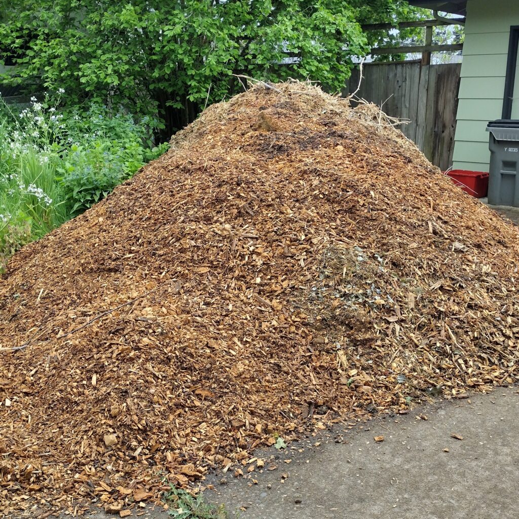 How to Build and Fill Free or Super Cheap Raised Beds - a post by Moon and Hare Collective