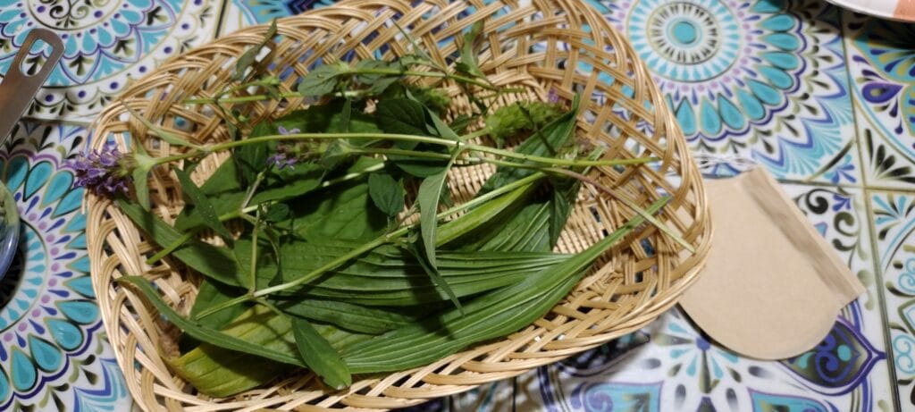 5 Powerhouse Herbs that Might Be Growing as Weeds in Your Yard