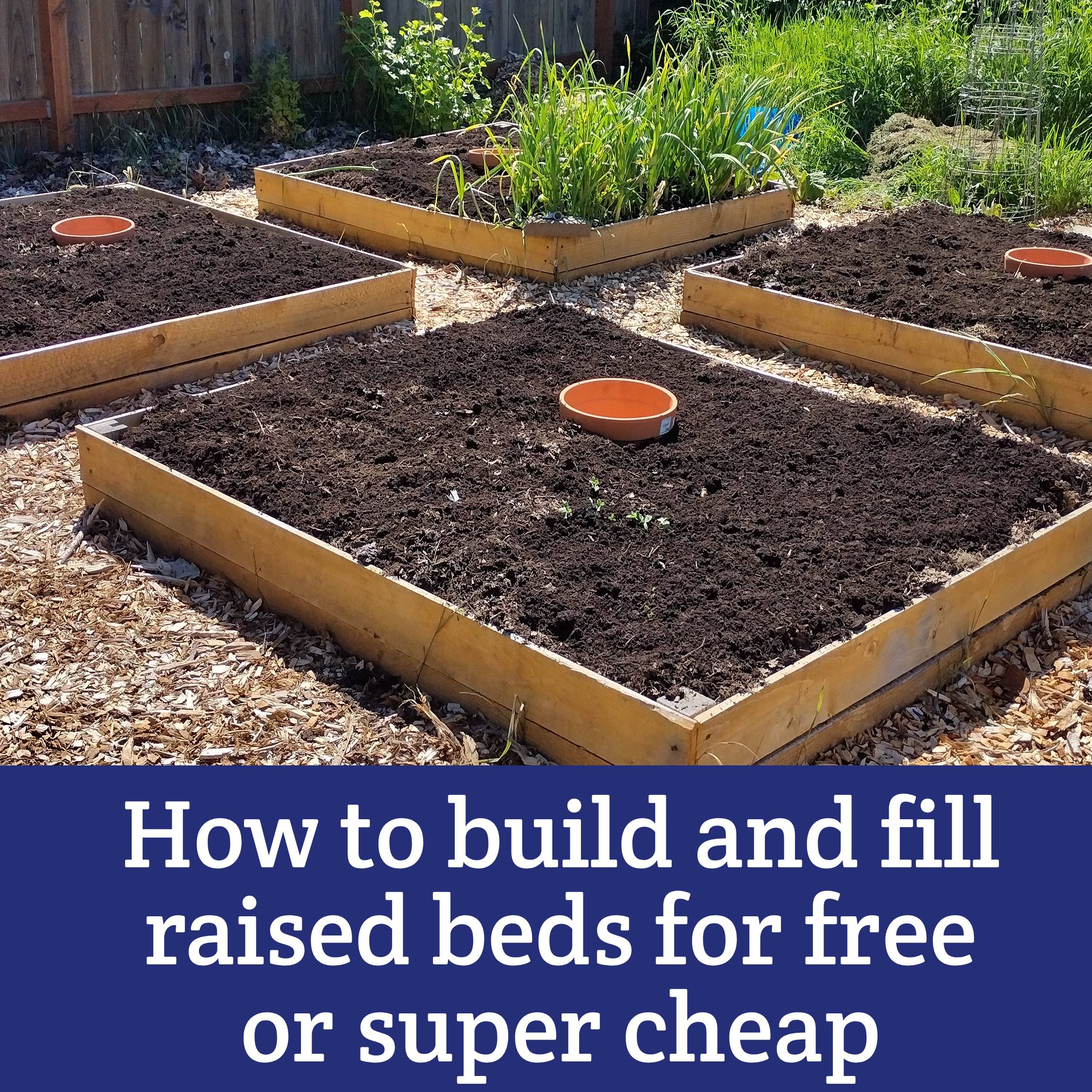 How to Build and Fill Free or Super Cheap Raised Beds - a post by Moon and Hare Collective