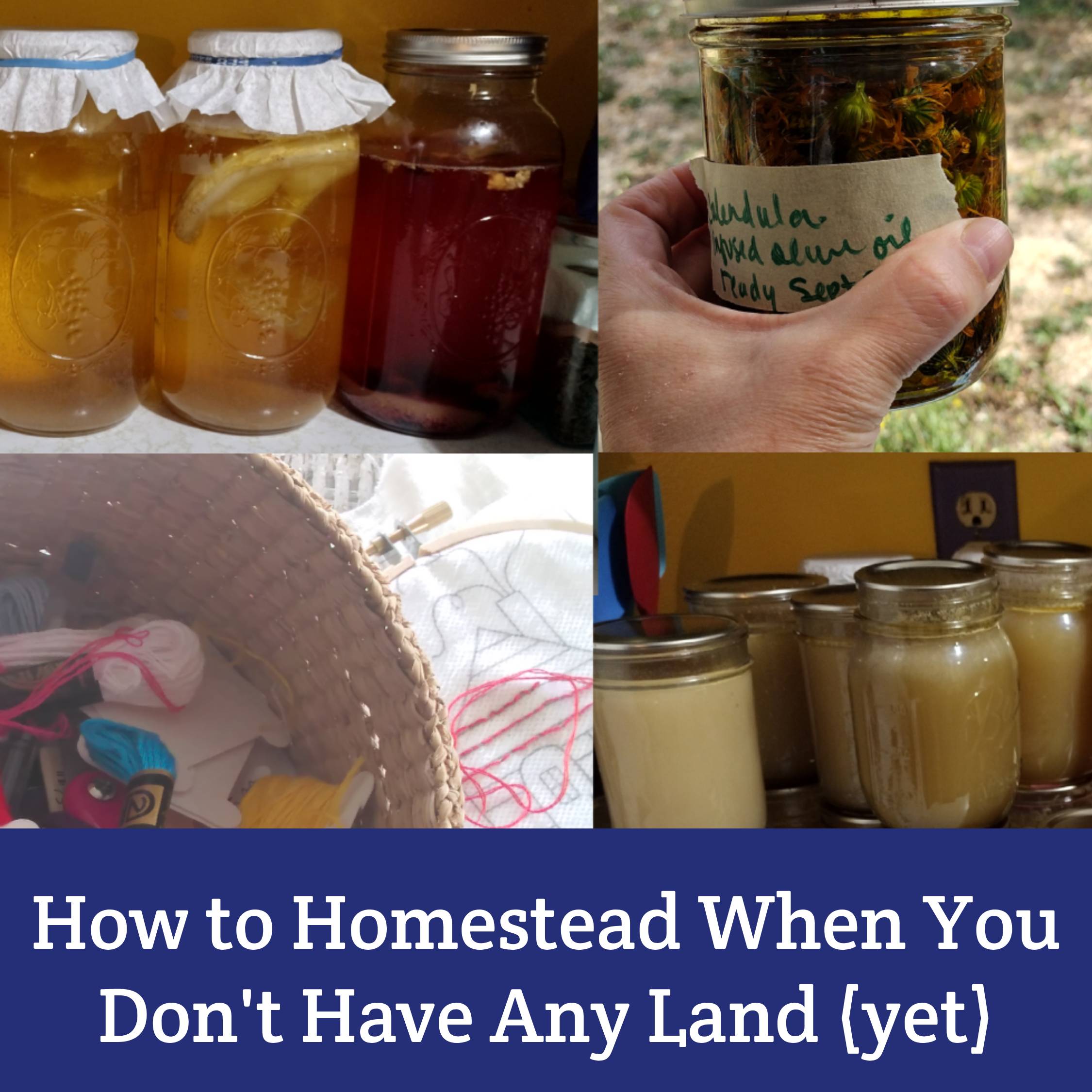 How to be a homesteader when you don’t have any land