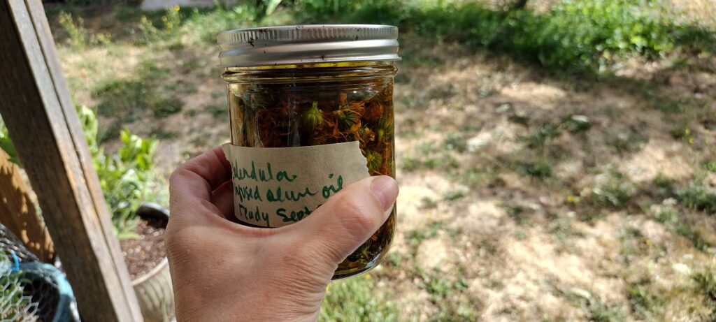 How to be a homesteader when you don’t have any land