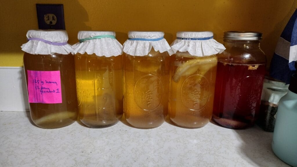 How to be a homesteader when you don’t have any land