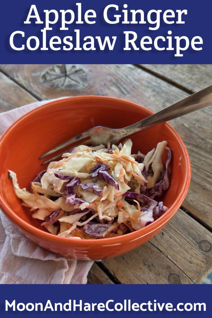 Apple Ginger Coleslaw recipe from Moon and Hare Collective