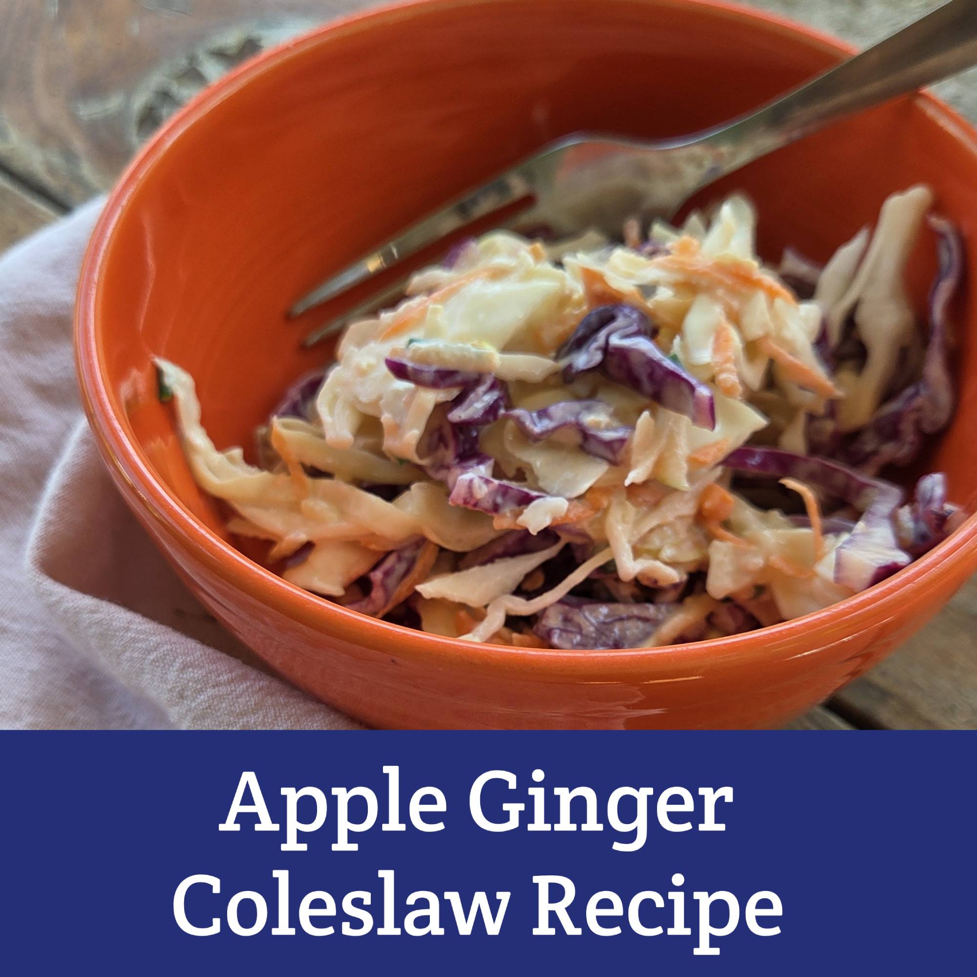 Apple Ginger Coleslaw recipe from Moon and Hare Collective