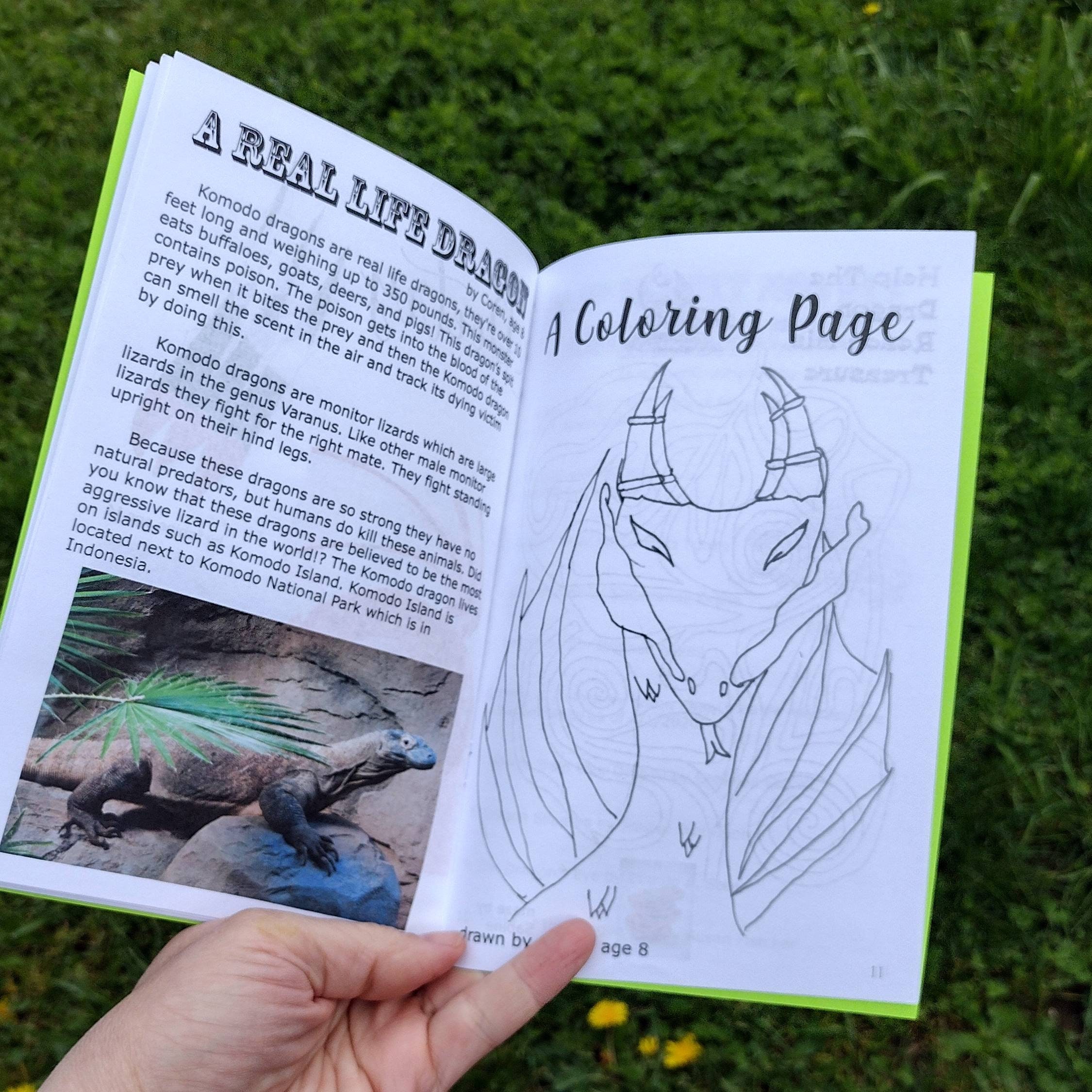 Dragon On, kid zine, zines for teenager, kids magazine, gift for kid girl, gift for kid boy, activity book, free shipping, animal zine, zine - Image 3